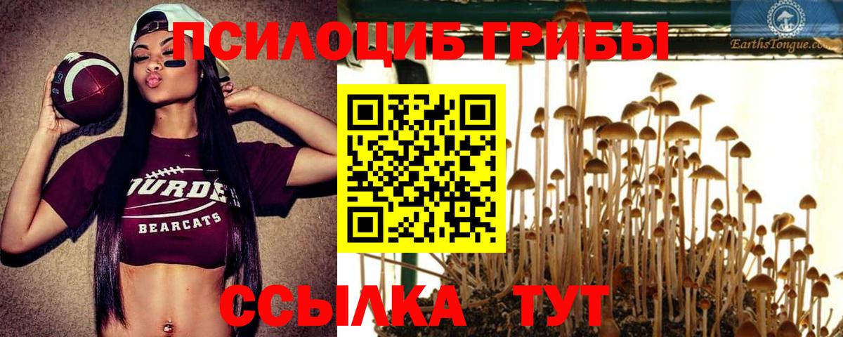 Кострома  Галлюциногенные грибы Psilocybine cubensis  Вход с VPN  Псилоцибиновые грибы GOLDEN TEACHER 